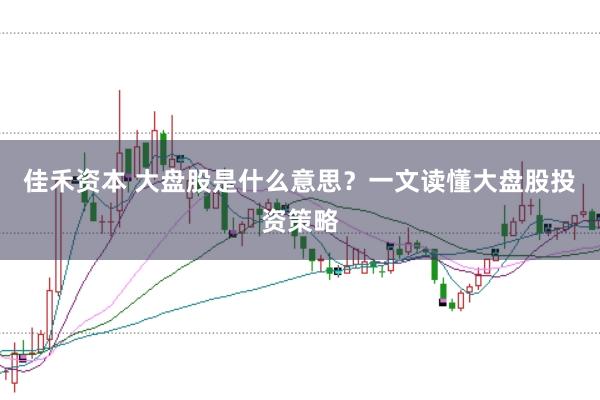 佳禾资本 大盘股是什么意思？一文读懂大盘股投资策略