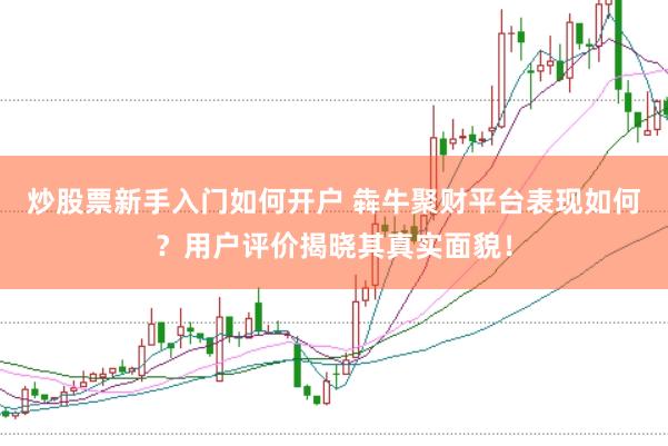 炒股票新手入门如何开户 犇牛聚财平台表现如何？用户评价揭晓其真实面貌！