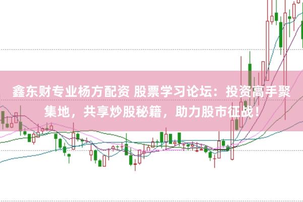 鑫东财专业杨方配资 股票学习论坛：投资高手聚集地，共享炒股秘籍，助力股市征战！