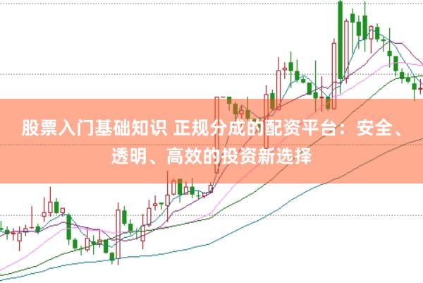 股票入门基础知识 正规分成的配资平台：安全、透明、高效的投资新选择