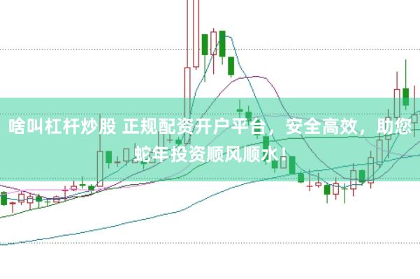 啥叫杠杆炒股 正规配资开户平台，安全高效，助您蛇年投资顺风顺水！