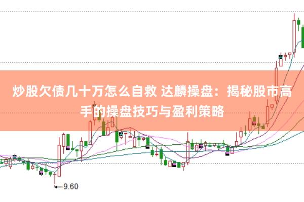炒股欠债几十万怎么自救 达麟操盘：揭秘股市高手的操盘技巧与盈利策略