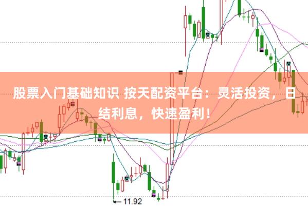 股票入门基础知识 按天配资平台：灵活投资，日结利息，快速盈利！