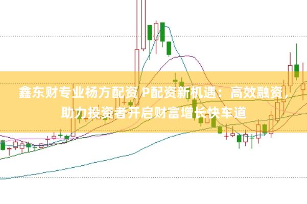 鑫东财专业杨方配资 P配资新机遇：高效融资，助力投资者开启财富增长快车道