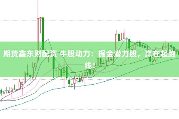 期货鑫东财配资 牛股动力：掘金潜力股，赢在起跑线！