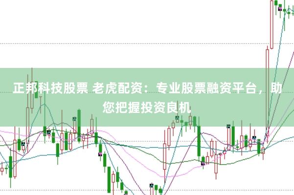 正邦科技股票 老虎配资：专业股票融资平台，助您把握投资良机