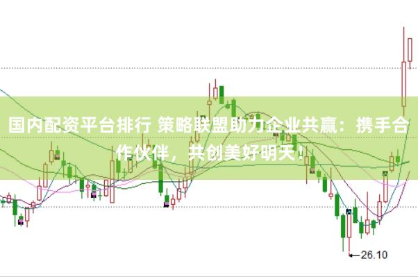 国内配资平台排行 策略联盟助力企业共赢：携手合作伙伴，共创美好明天！