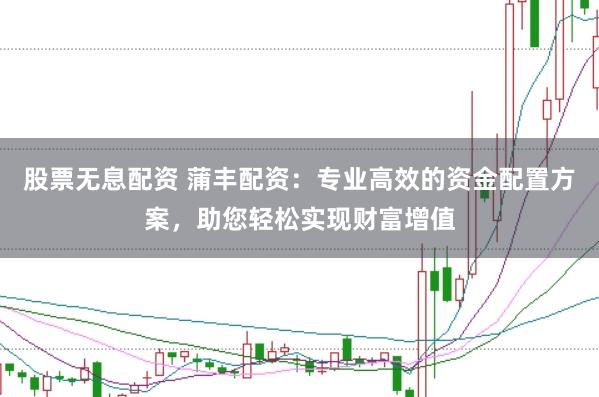 股票无息配资 蒲丰配资：专业高效的资金配置方案，助您轻松实现财富增值