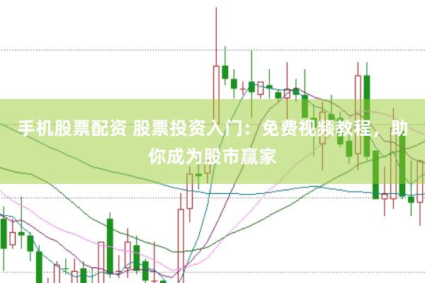 手机股票配资 股票投资入门：免费视频教程，助你成为股市赢家