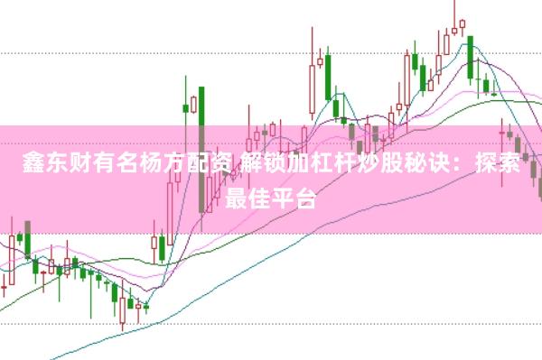 鑫东财有名杨方配资 解锁加杠杆炒股秘诀：探索最佳平台