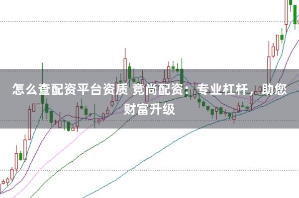 怎么查配资平台资质 竞尚配资：专业杠杆，助您财富升级