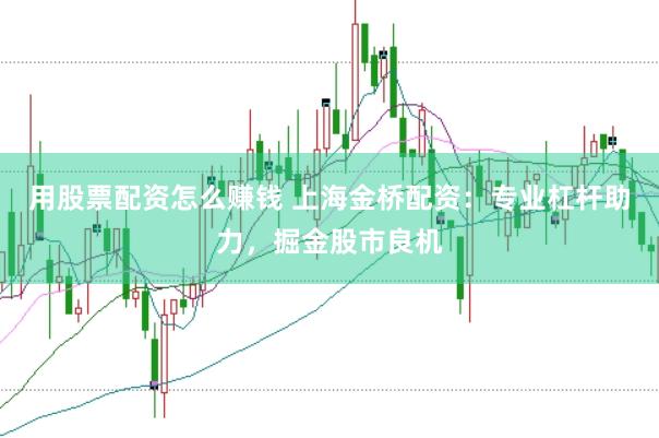 用股票配资怎么赚钱 上海金桥配资：专业杠杆助力，掘金股市良机