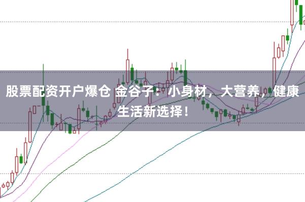 股票配资开户爆仓 金谷子：小身材，大营养，健康生活新选择！