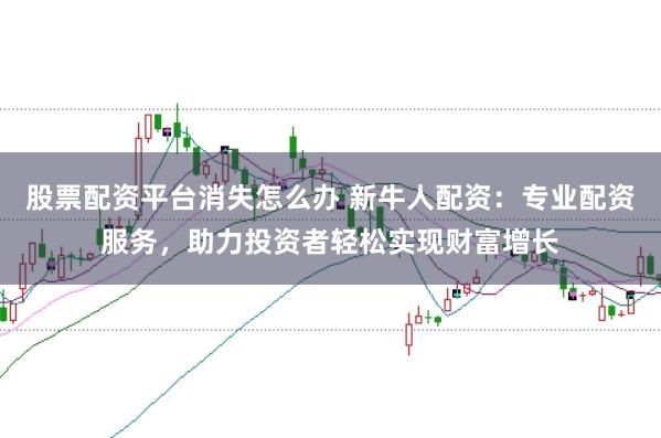 股票配资平台消失怎么办 新牛人配资：专业配资服务，助力投资者轻松实现财富增长