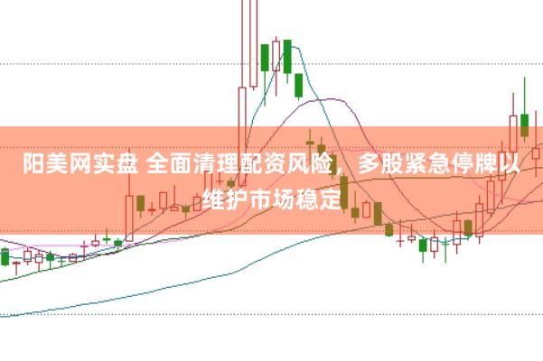 阳美网实盘 全面清理配资风险，多股紧急停牌以维护市场稳定