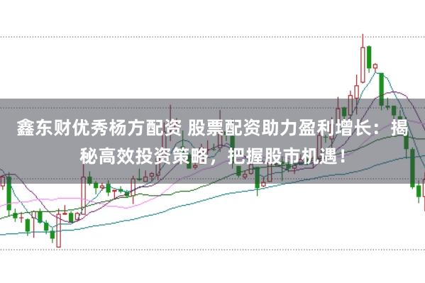鑫东财优秀杨方配资 股票配资助力盈利增长：揭秘高效投资策略，把握股市机遇！