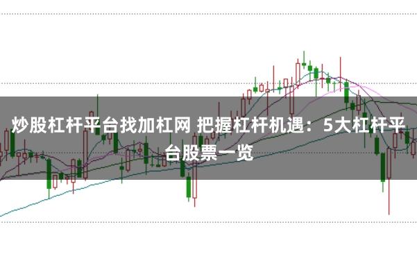 炒股杠杆平台找加杠网 把握杠杆机遇:5大杠杆平台股票一览