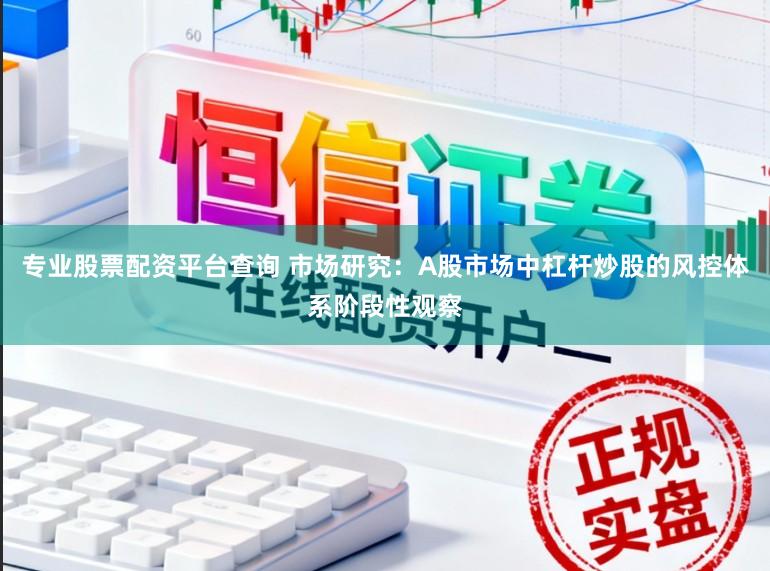 专业股票配资平台查询 市场研究：A股市场中杠杆炒股的风控体系阶段性观察