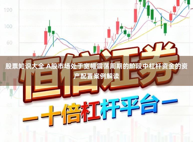 股票知识大全 A股市场处于宽幅震荡周期的阶段中杠杆资金的资产配置案例解读